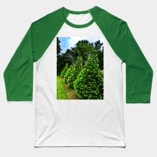 Four pretty lit pine trees Baseball T-Shirt